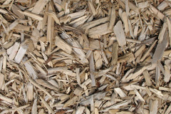biomass boilers Rylah