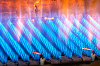 Rylah gas fired boilers